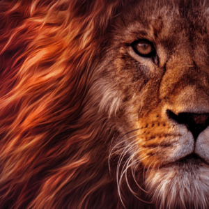 Lion's Gate Meditation